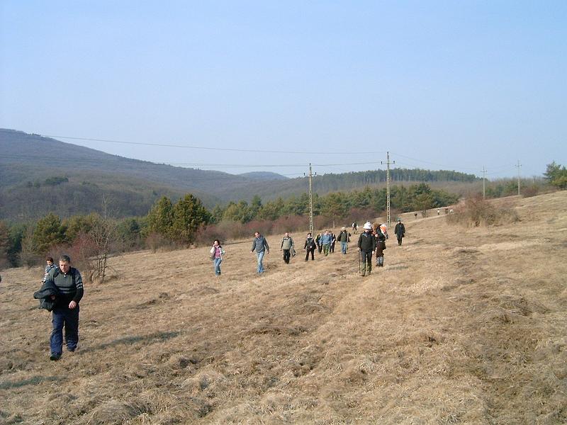20110312 066.jpg
